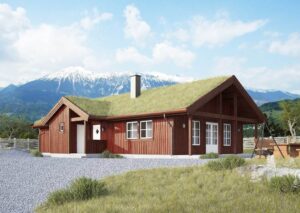 Reinsjøfjell
